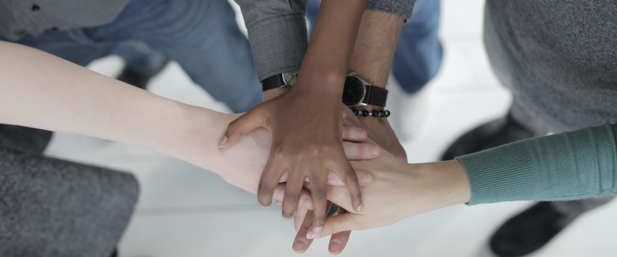 Entitlement Public Service Application