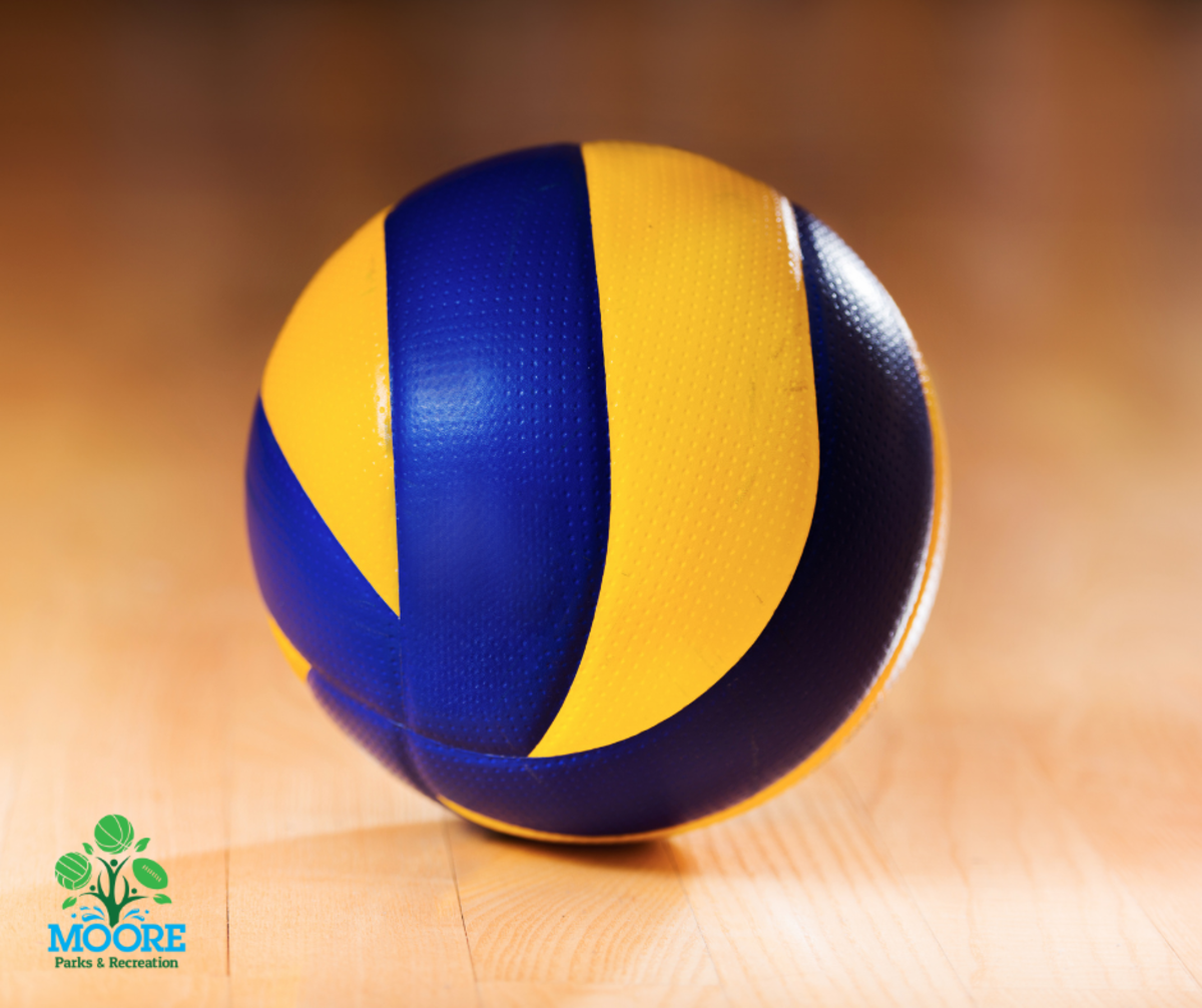 Adult Summer Co-Ed Volleyball League 